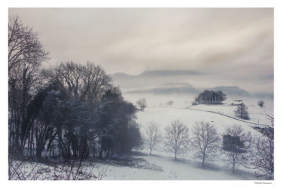 Brume neigeuse